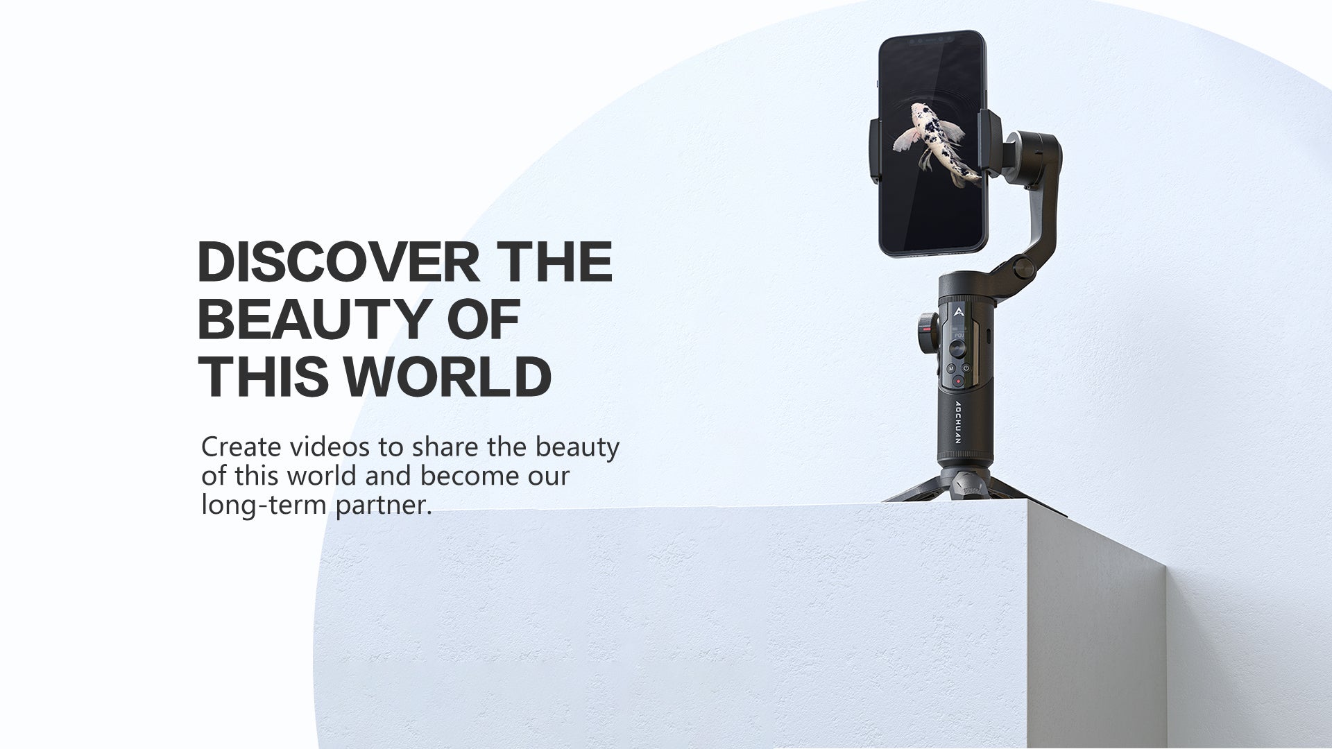 Discover The Beauty of This World
